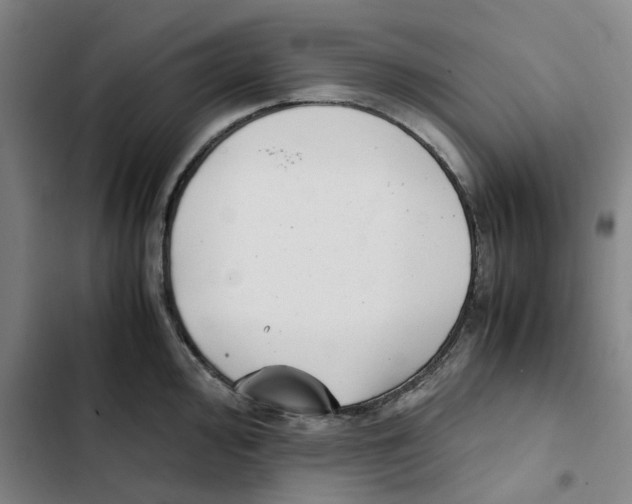 X0000102371000200808291244
