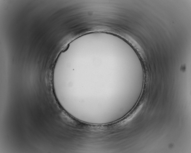 X0000102371001200808291244
