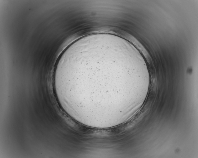 X0000102371002200808291244