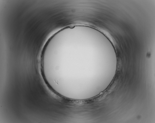 X0000102371003200808291244