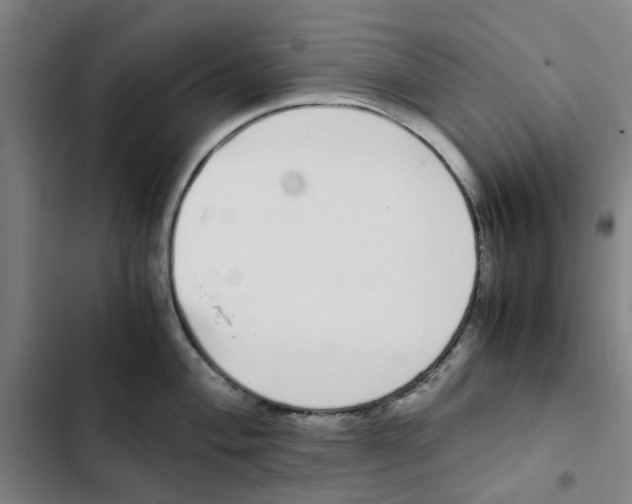 X0000102371004200808291244