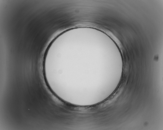 X0000102371005200808291244