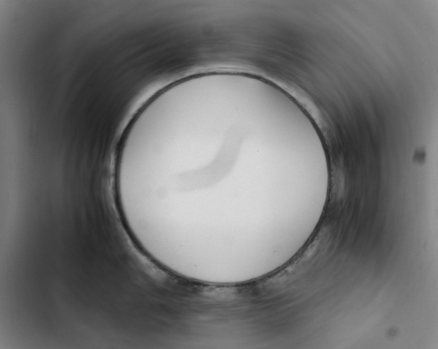 X0000102371006200808291244