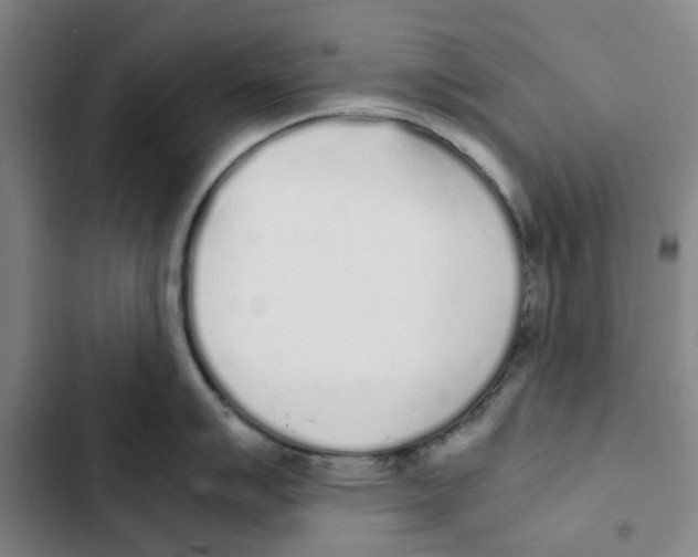 X0000102371007200808291244