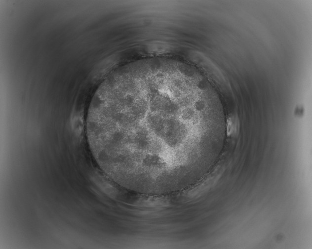 X0000102371011200808291244