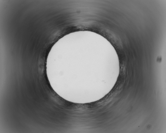 X0000102371012200808291244