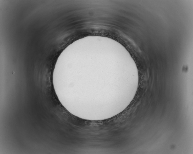 X0000102371013200808291244