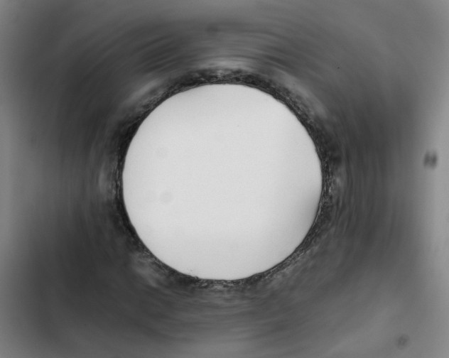 X0000102371014200808291244