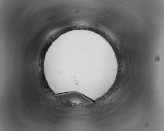 X0000102371016200808291244