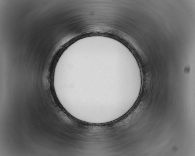 X0000102371018200808291244