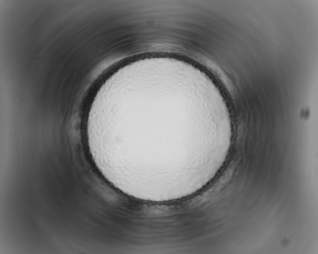 X0000102371019200808291244