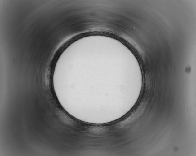 X0000102371021200808291244