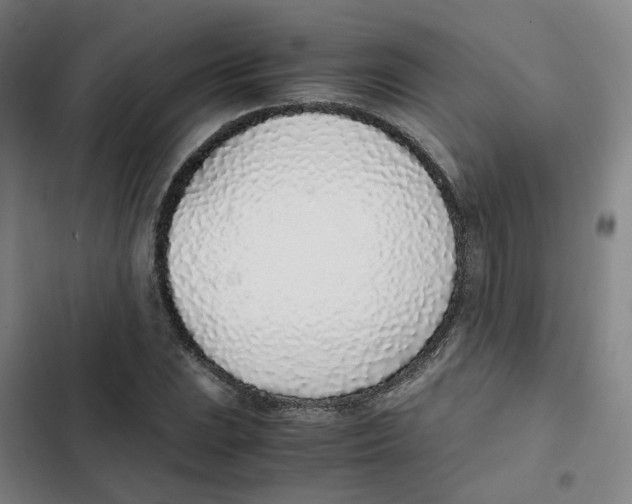 X0000102371023200808291244