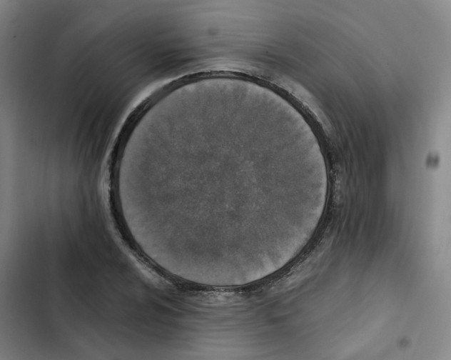 X0000102371024200808291244
