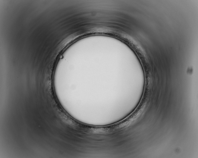 X0000102371025200808291244