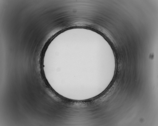 X0000102371026200808291244