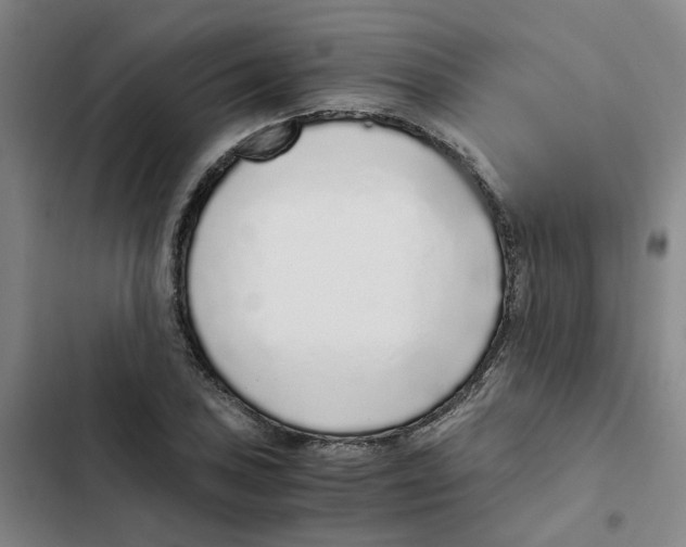 X0000102371027200808291244