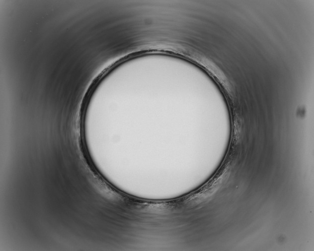 X0000102371028200808291244