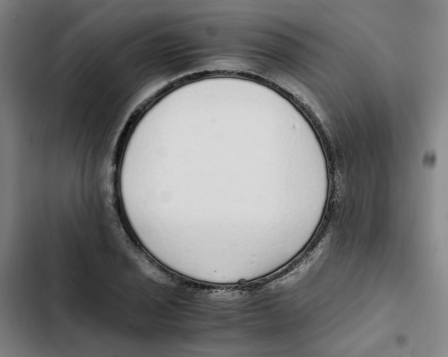 X0000102371029200808291244