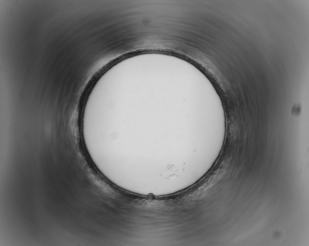 X0000102371030200808291244