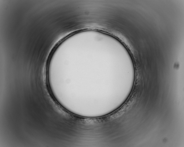 X0000102371032200808291244