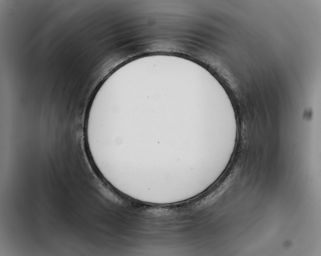 X0000102371033200808291244