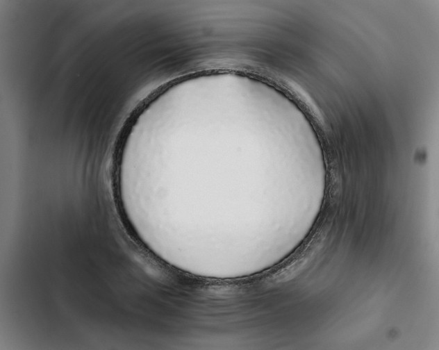 X0000102371035200808291244