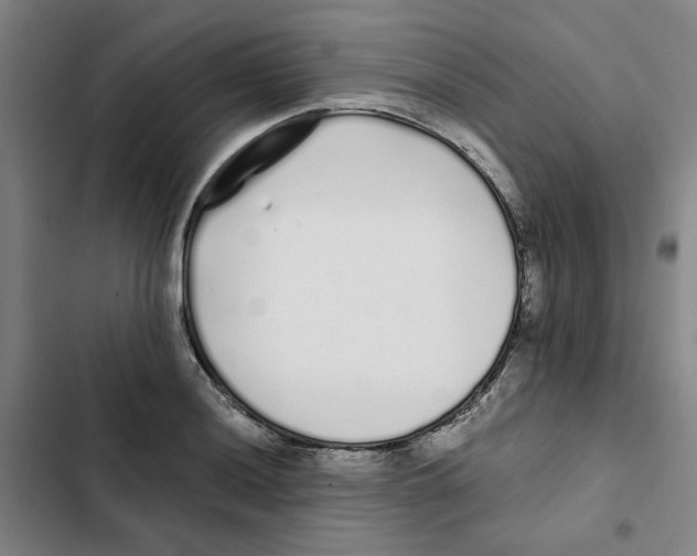 X0000102371036200808291244
