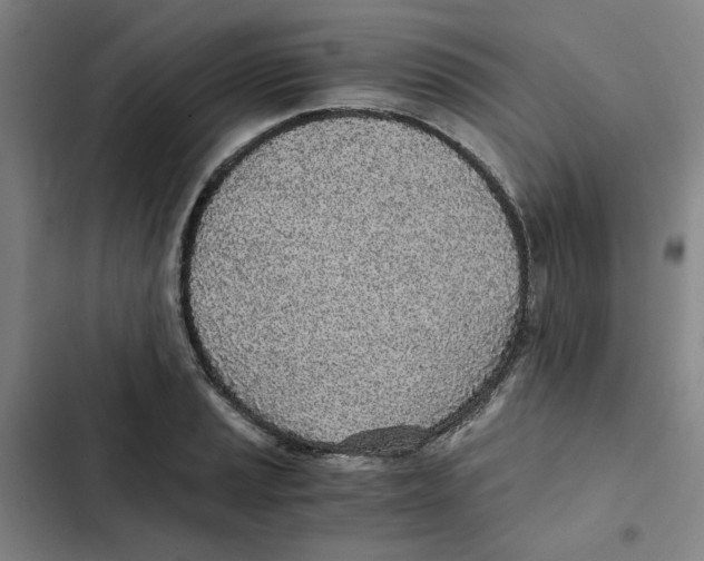 X0000102371037200808291244