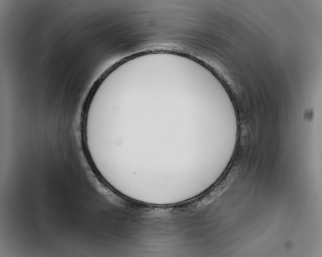 X0000102371038200808291244