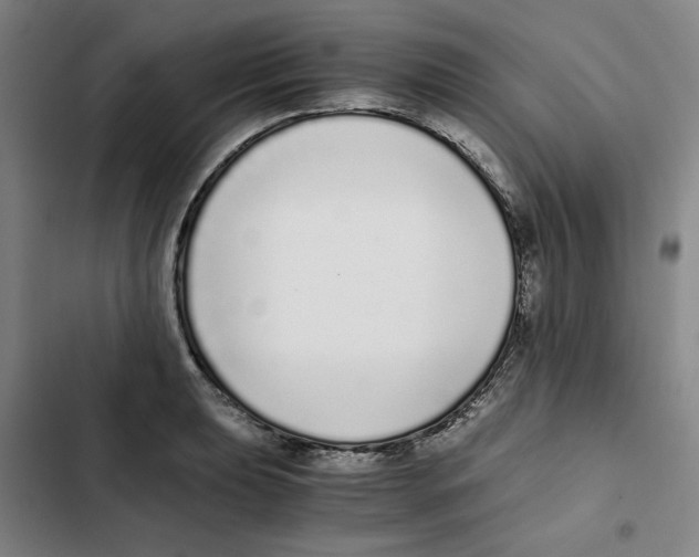 X0000102371039200808291244