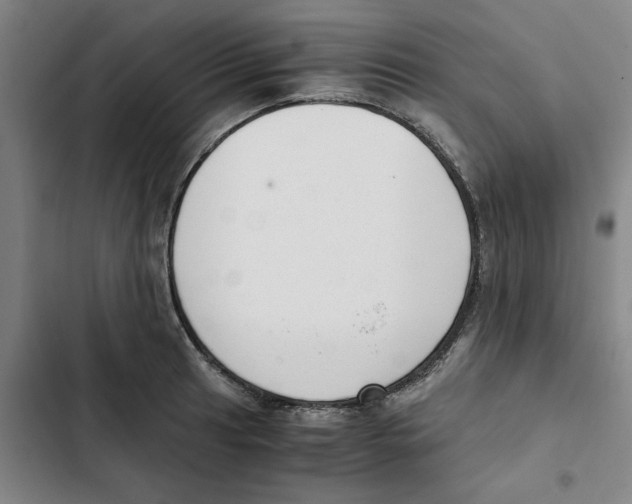 X0000102371041200808291244