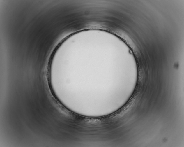 X0000102371043200808291244