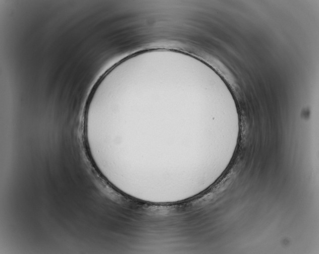 X0000102371044200808291244
