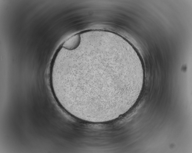 X0000102371045200808291244