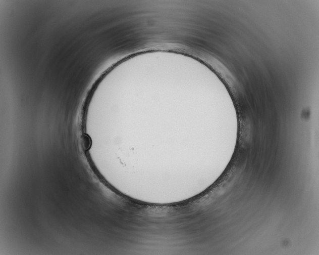 X0000102371046200808291244
