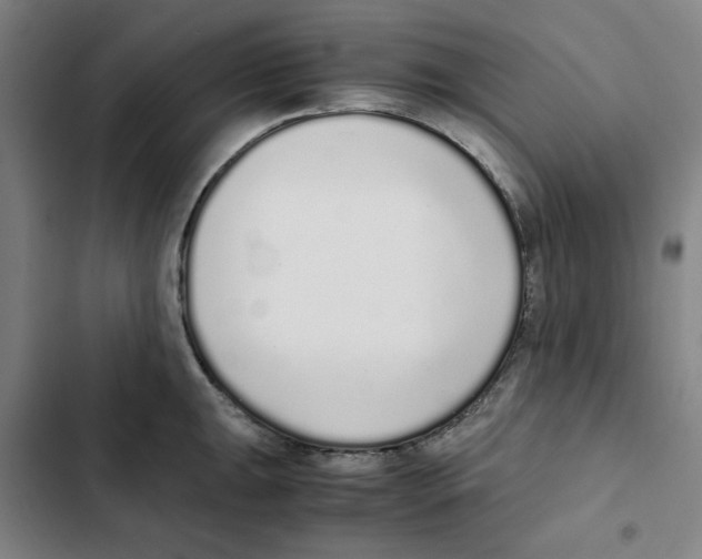 X0000102371047200808291244