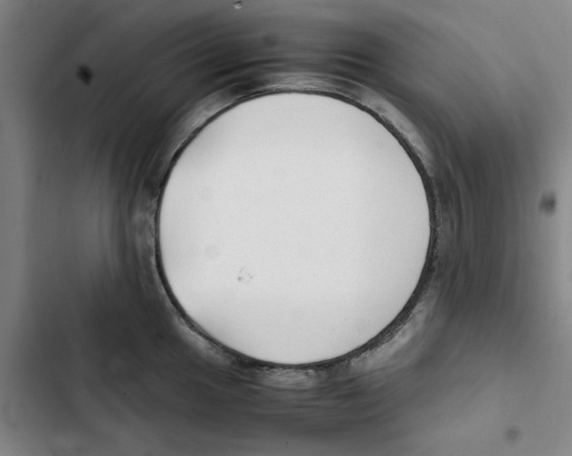 X0000102371049200808291244