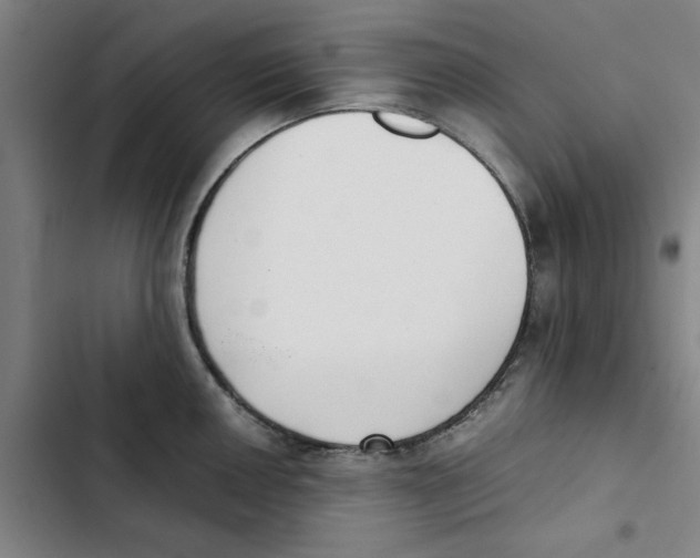 X0000102371050200808291244