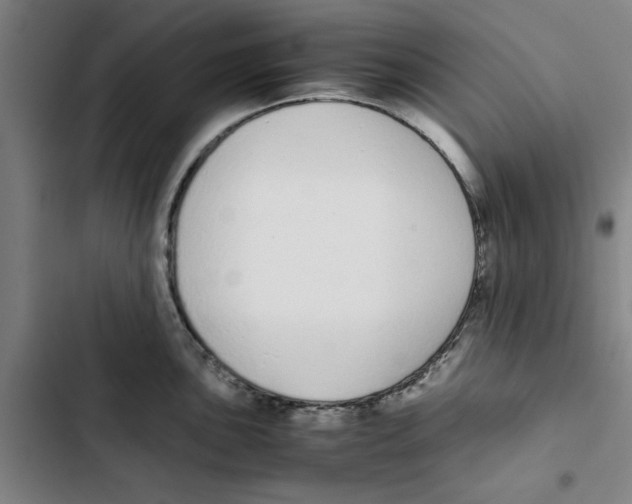 X0000102371051200808291244