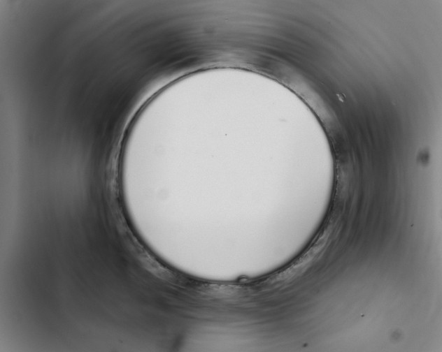X0000102371052200808291244