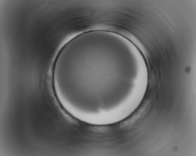 X0000102371053200808291244