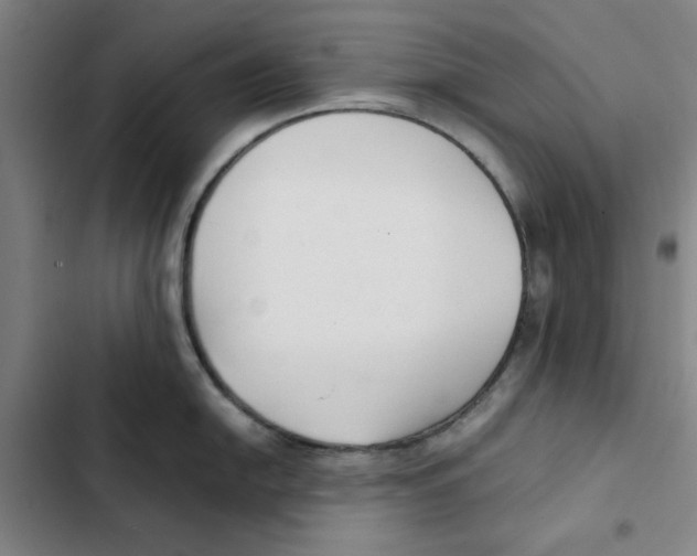 X0000102371054200808291244