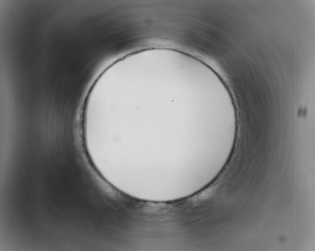 X0000102371056200808291244