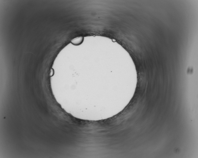X0000102371057200808291243