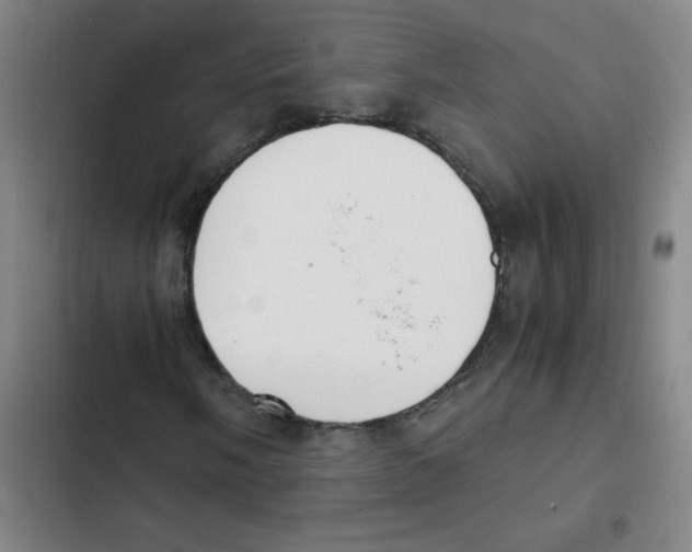 X0000102371058200808291243