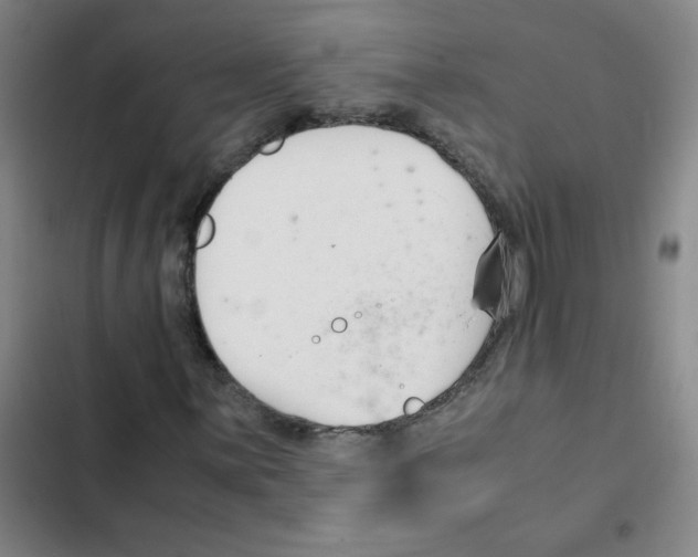 X0000102371059200808291243