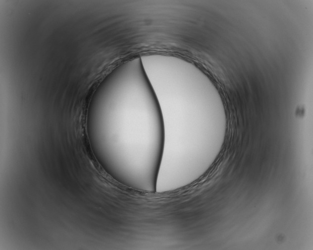 X0000102371060200808291243