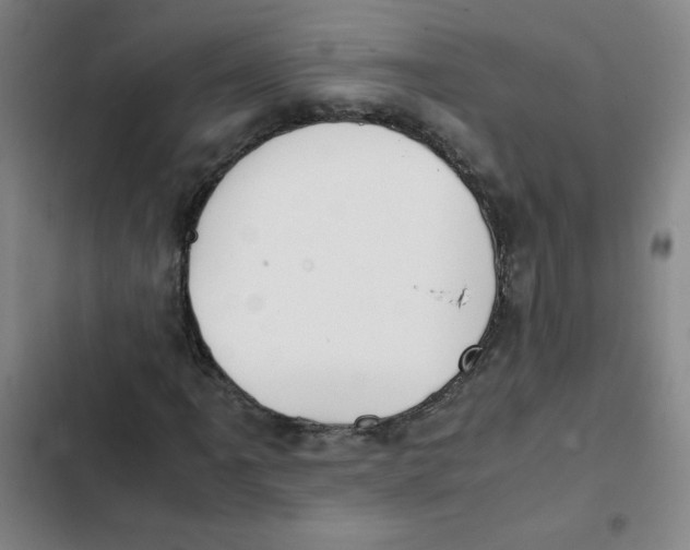 X0000102371061200808291243