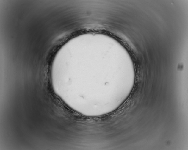 X0000102371063200808291243